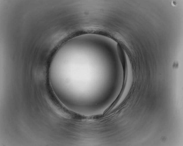X0000091970448200709061335