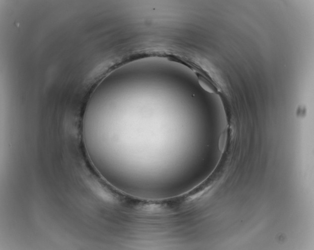 X0000091970449200709061335