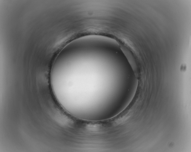 X0000091970450200709061335