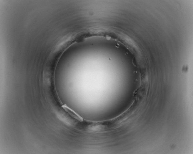 X0000091970452200709061335