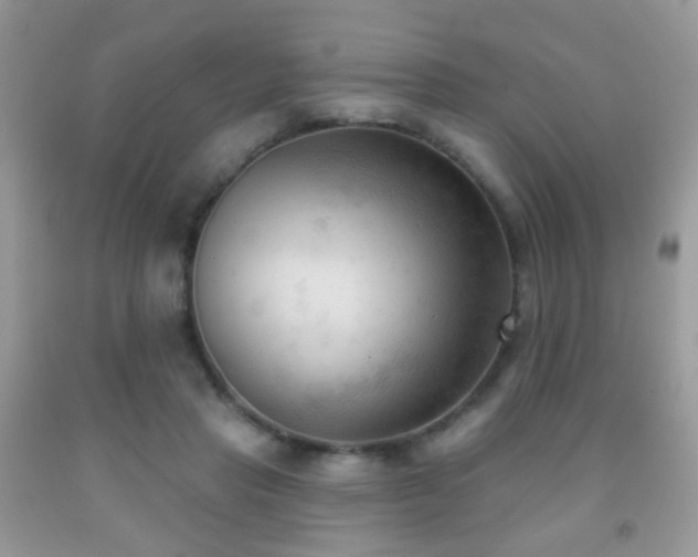X0000091970453200709061335