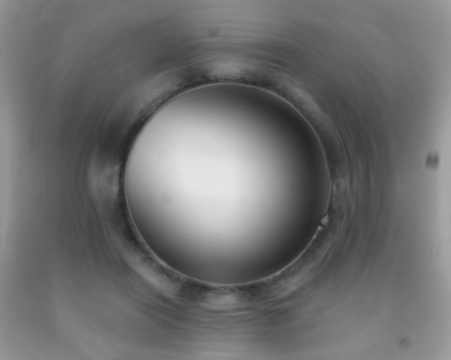 X0000091970454200709061335