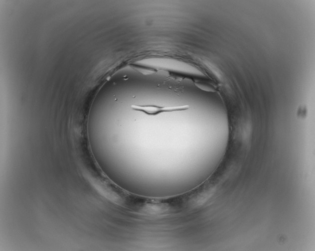 X0000091970455200709061335