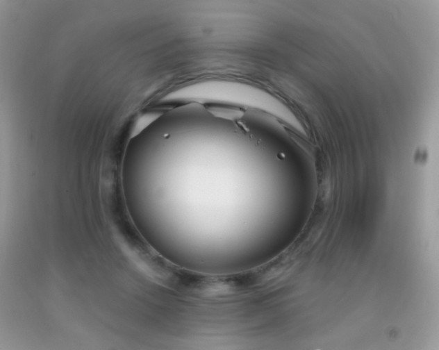 X0000091970456200709061335
