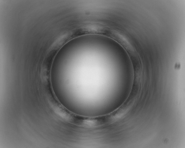 X0000091970457200709061335
