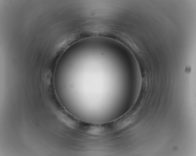 X0000091970458200709061335
