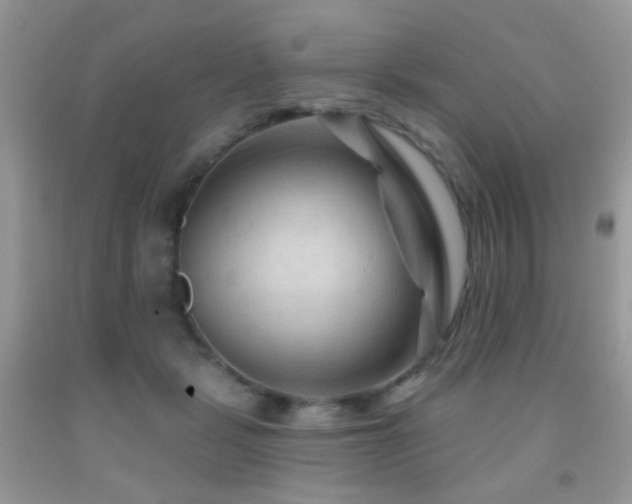 X0000091970461200709061336