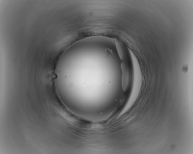 X0000091970462200709061336