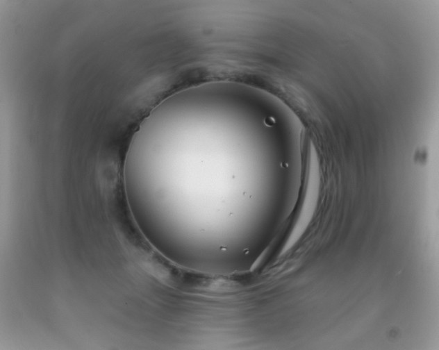 X0000091970463200709061336