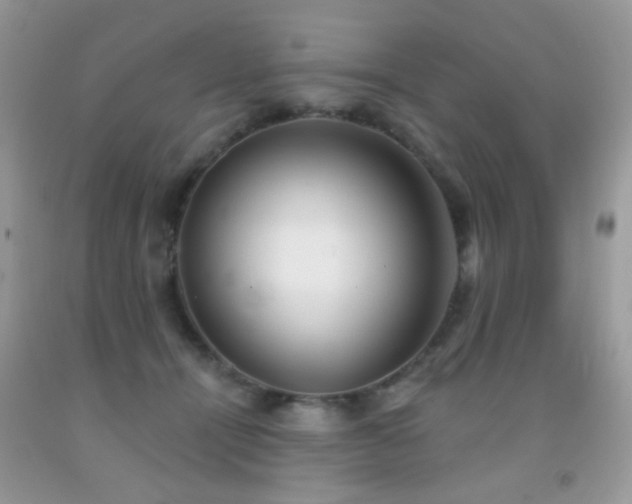 X0000091970464200709061336