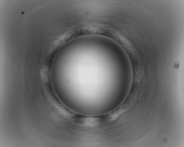 X0000091970465200709061336