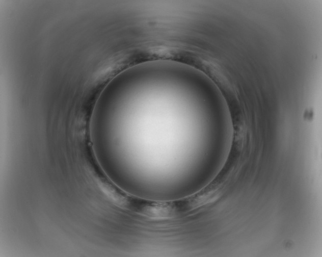 X0000091970466200709061336