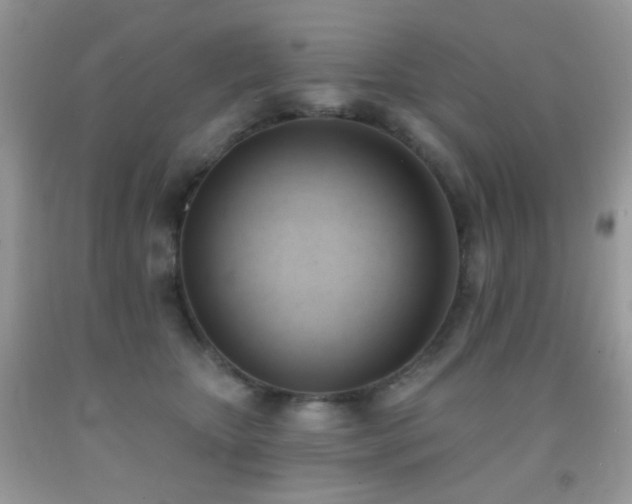X0000091970467200709061336