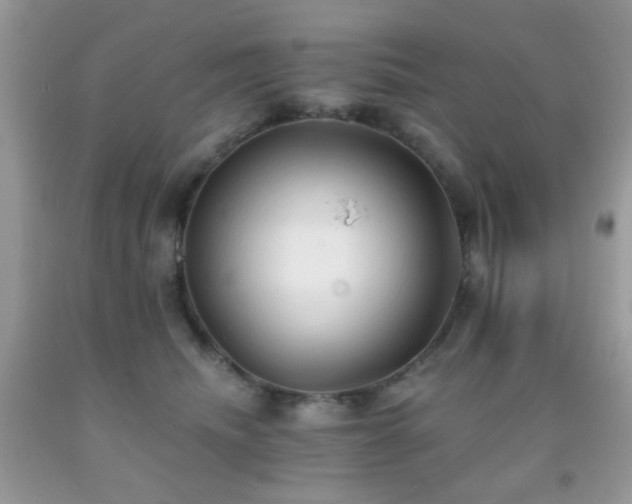 X0000091970468200709061336