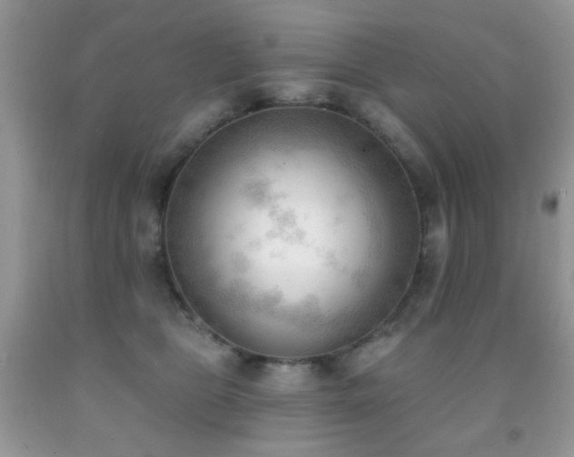 X0000091970469200709061336