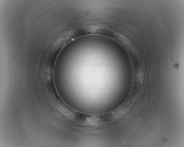 X0000091970470200709061336