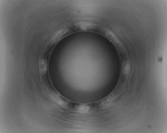 X0000091970471200709061336