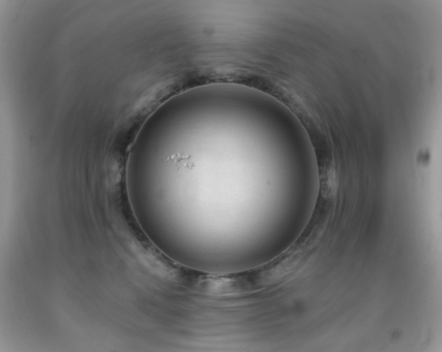 X0000091970472200709061336