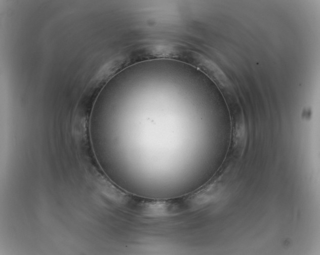 X0000091970473200709061336