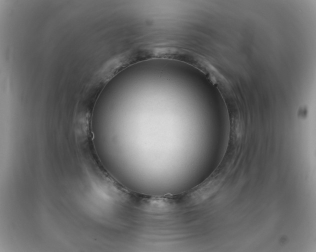 X0000091970475200709061336