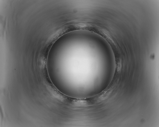X0000091970476200709061336