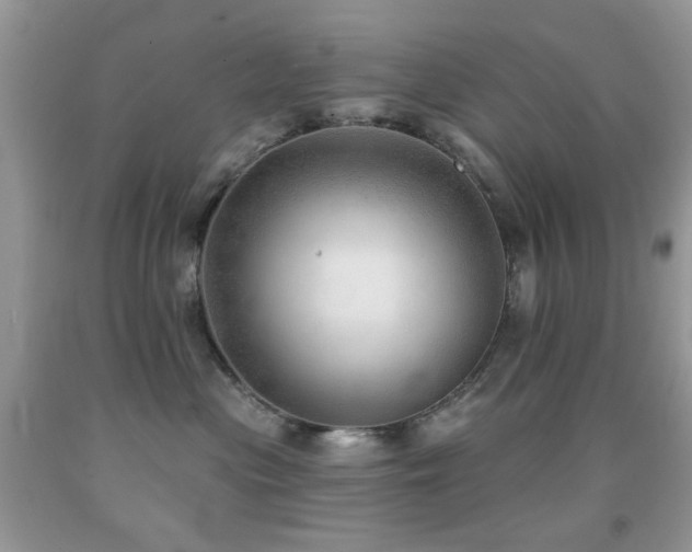 X0000091970477200709061336