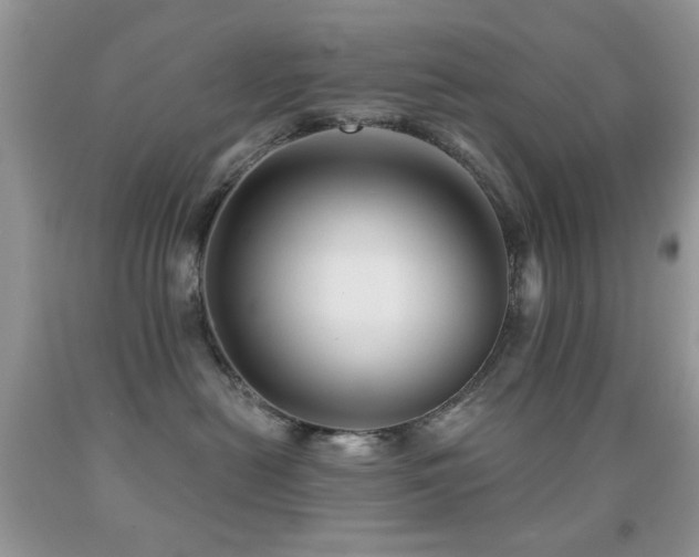 X0000091970478200709061336