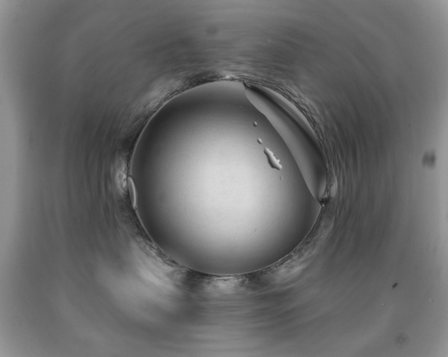 X0000091970479200709061336