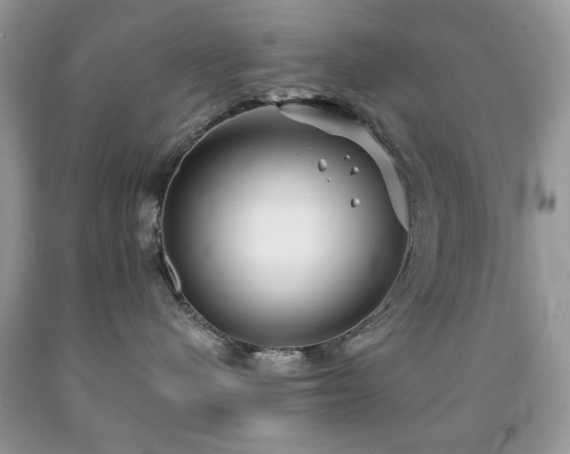 X0000091970480200709061336