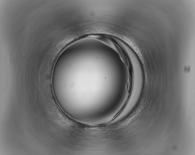 X0000091970481200709061335
