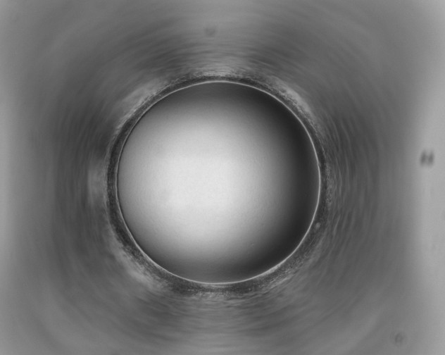 X0000091970482200709061335