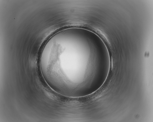 X0000091970483200709061335