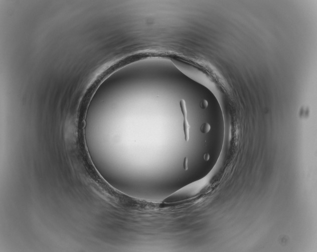 X0000091970484200709061335