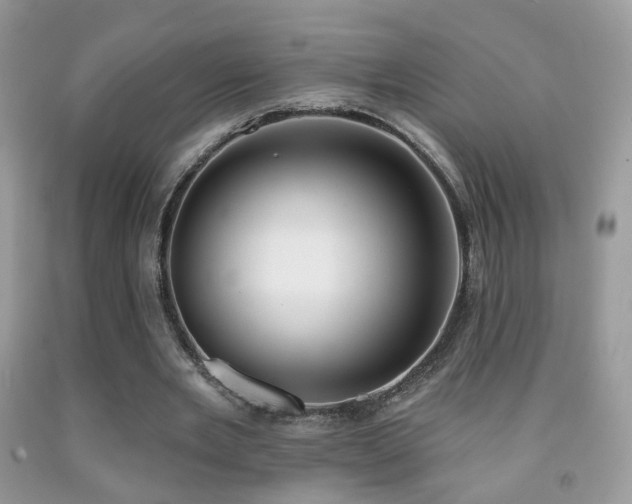 X0000091970485200709061335