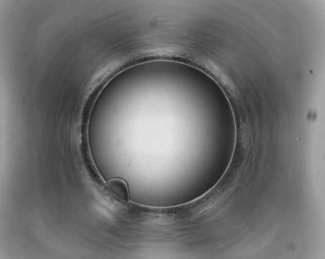 X0000091970486200709061335