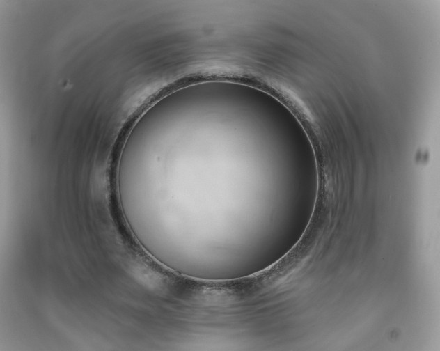 X0000091970487200709061335