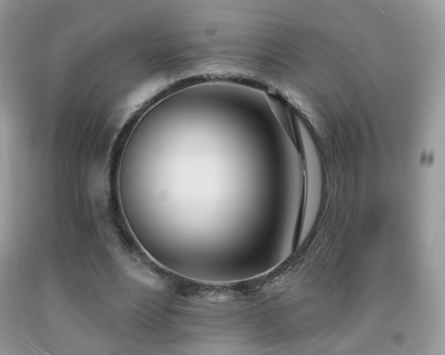 X0000091970488200709061335