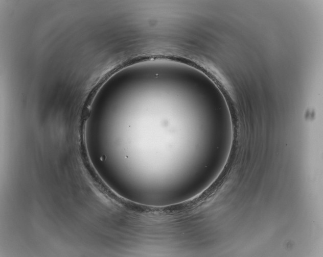 X0000091970489200709061335