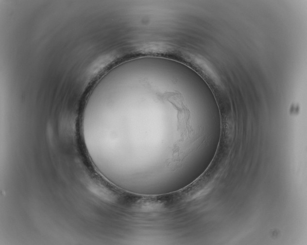 X0000091970491200709061335