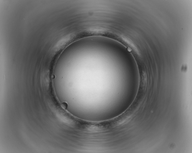 X0000091970494200709061335