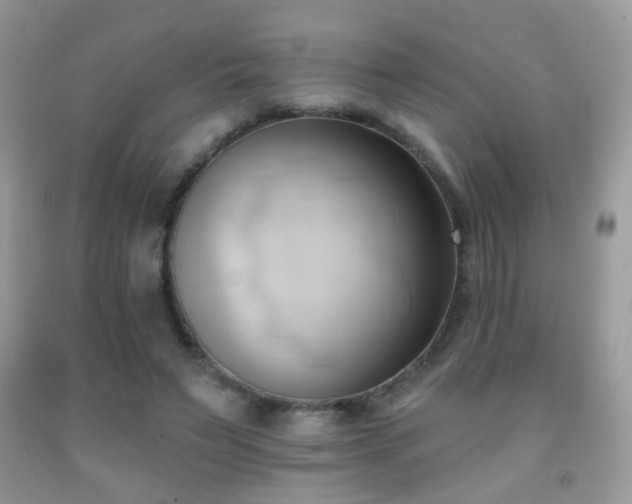 X0000091970495200709061335