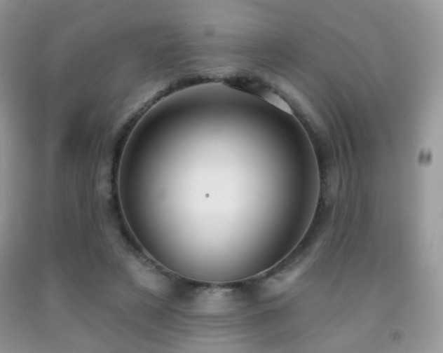 X0000091970497200709061335