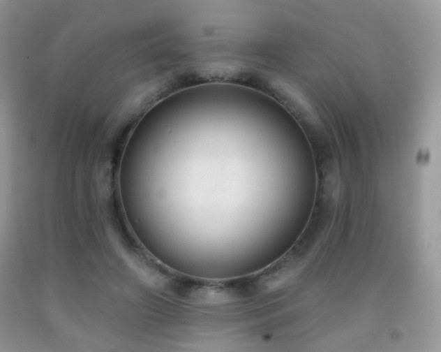X0000091970498200709061335
