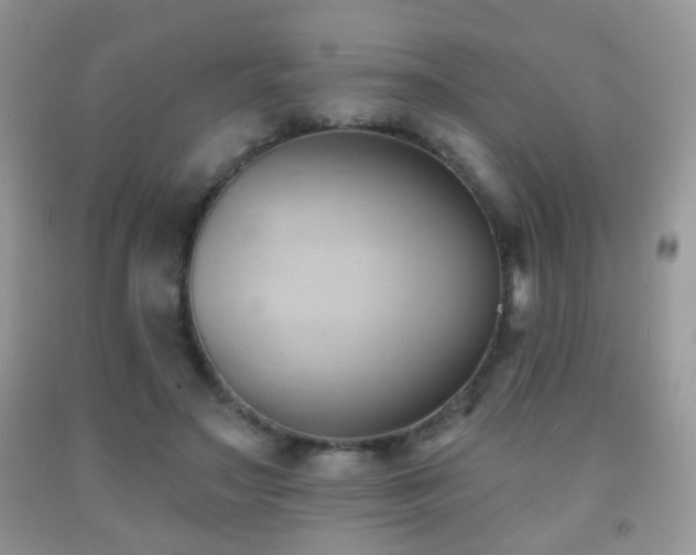 X0000091970499200709061335