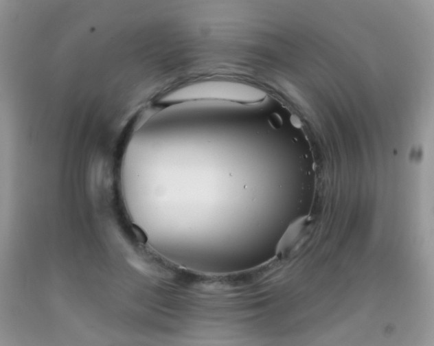 X0000091970500200709061335