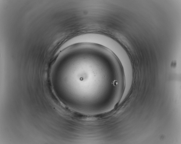 X0000091970501200709061335