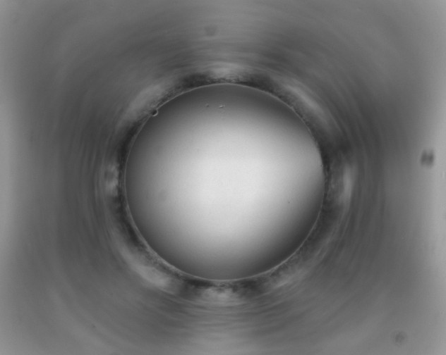 X0000091970502200709061335