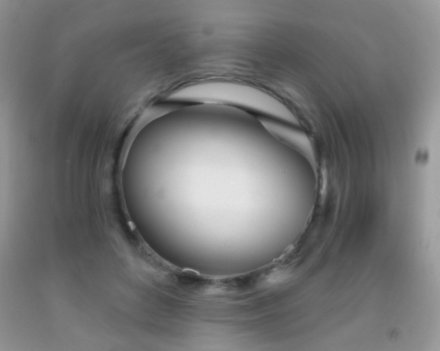 X0000091970504200709061335