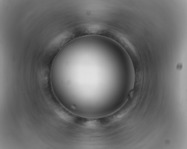 X0000091970505200709061335