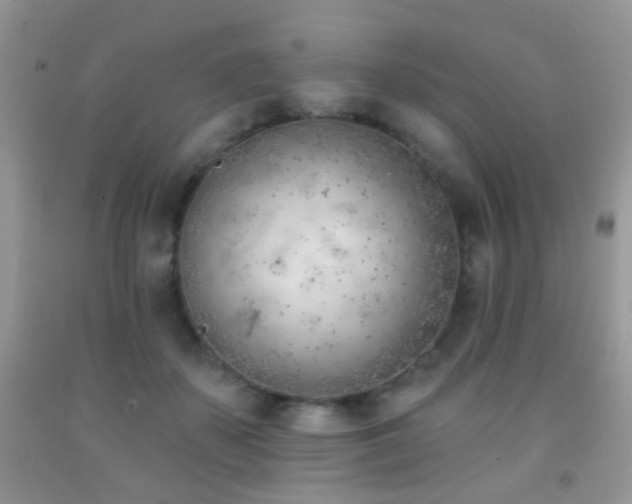 X0000091970507200709061335